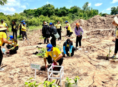 โครงการอาสาสมัครสหกรณ์ กิจกรรมพัฒนาอาสาสมัครสหกรณ์ ... พารามิเตอร์รูปภาพ 39